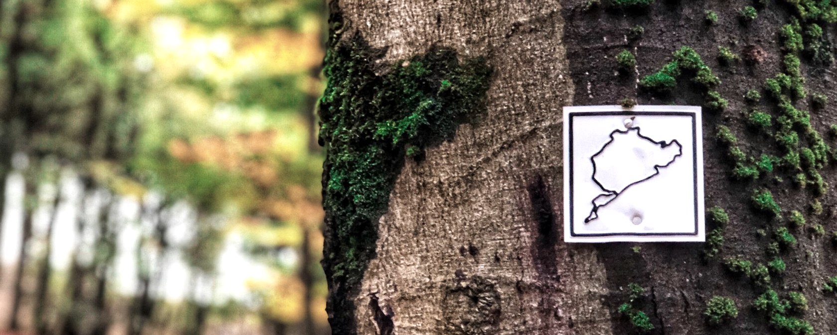 Wanderung Grüne Hölle, © Tourist Information Hocheifel Nürburgring|Schulte Wanderung Grüne Hölle, © Tourist Information Hocheifel Nürburgring|Schulte