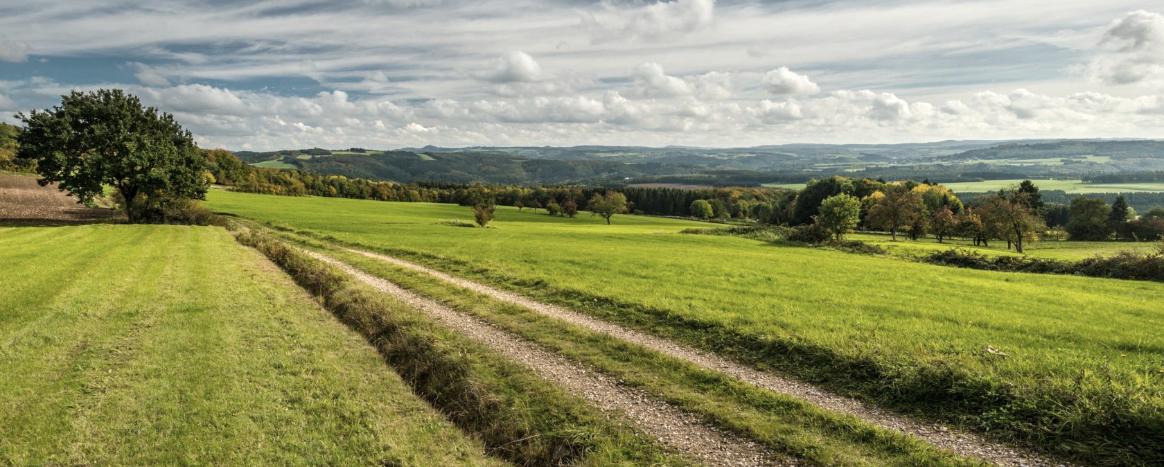 Wandern in der Eifel, © Ahrtal,Dominik Ketz Wandern in der Eifel, © Ahrtal,Dominik Ketz