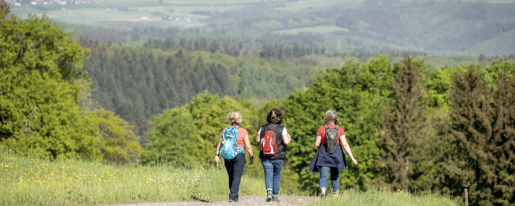 Eifel Wanderungen, © EifelTourismus,D.Ketz Eifel Wanderungen, © EifelTourismus,D.Ketz