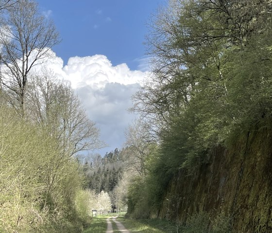 Ahrradweg zwischen Antweiler und Müsch Ahrradweg zwischen Antweiler und Müsch