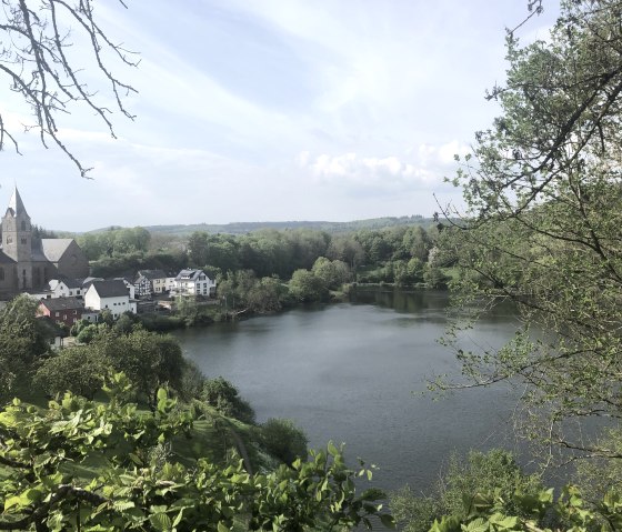 Ulmen, © Rita Kaiser Ulmen, © Rita Kaiser