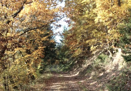 Wanderweg Müllenwirftschleife im Herbstkleid Eifel Ahrtal, © Walter Schmitz Wanderweg Müllenwirftschleife im Herbstkleid Eifel Ahrtal, © Walter Schmitz