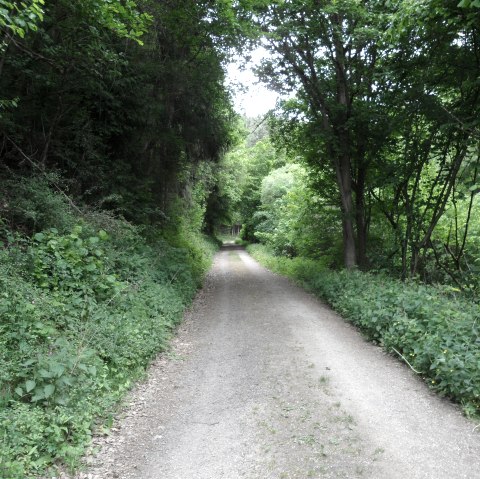 rundwegnr3_schuld, © Gerd Spitzlay rundwegnr3_schuld, © Gerd Spitzlay