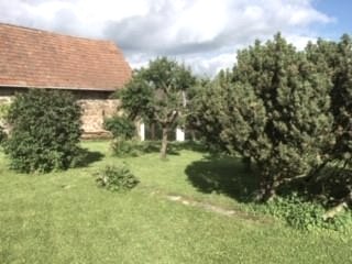 Obstwiese|Gästehaus Voß, © B.Voß Obstwiese|Gästehaus Voß, © B.Voß