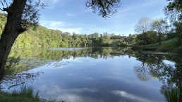 Blick auf das Ulmener Maar, © GesundLand Vulkaneifel GmbH, Carina Wagner Blick auf das Ulmener Maar, © GesundLand Vulkaneifel GmbH, Carina Wagner