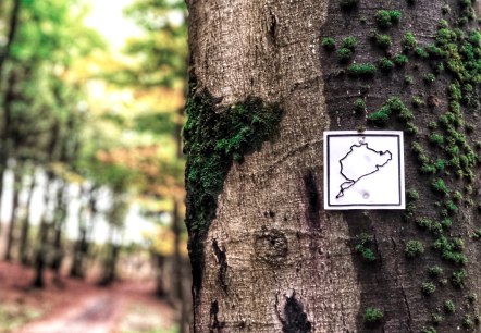 Grüne Hölle Rundwanderweg, © Sebastian Schulte Grüne Hölle Rundwanderweg, © Sebastian Schulte