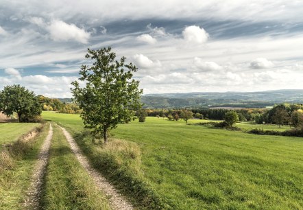Aussicht vom Aremberg, © Tourist-Information Hocheifel-Nürburgring,Dominik Ketz Aussicht vom Aremberg, © Tourist-Information Hocheifel-Nürburgring,Dominik Ketz