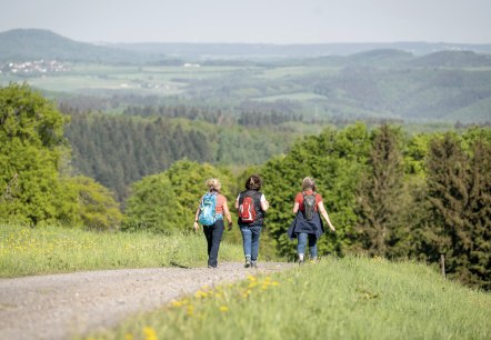 Wandern in der Hocheifel rund um den Nürburgring , © TI Hocheifel-Nürburgring,D.Ketz Wandern in der Hocheifel rund um den Nürburgring , © TI Hocheifel-Nürburgring,D.Ketz