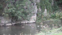 Ahrblick Schuld, © TI Hocheifel-Nürburgring, Gerd Spitzlay Ahrblick Schuld, © TI Hocheifel-Nürburgring, Gerd Spitzlay