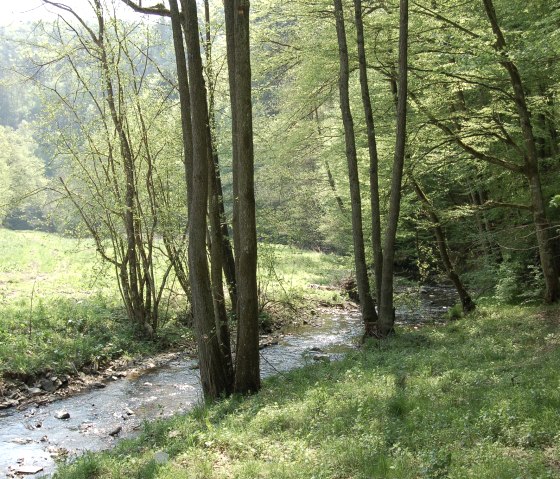 Rund um Wershofen_4, © Landgasthaus Pfahl Rund um Wershofen_4, © Landgasthaus Pfahl