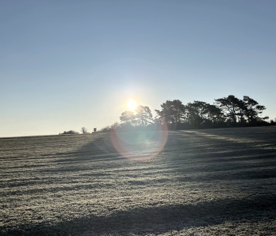 Wanderung Dorsel Wanderung Dorsel