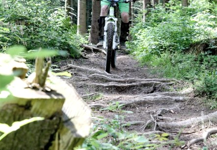 Mountainbiken Cross, © Schanze Communication Mountainbiken Cross, © Schanze Communication