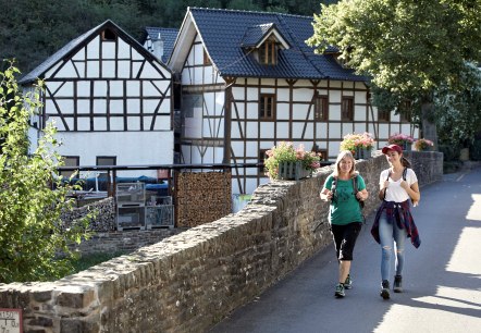 Herbstliche Wanderung durch den Ort, © TI Hocheifel Nürburgring ©JonathanAndrews Herbstwanderung duch den Ort