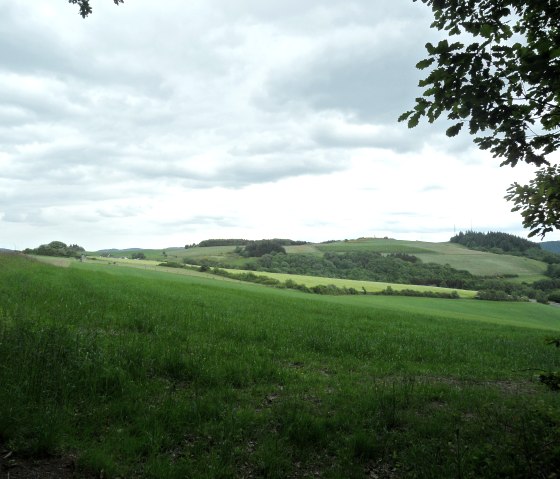 blick_auf_duempelhard, © Gerd Spitzlay blick_auf_duempelhard, © Gerd Spitzlay