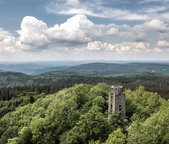 eifelleiter-hohe-_dominik_ketz, © Domenik Ketz eifelleiter-hohe-_dominik_ketz, © Domenik Ketz