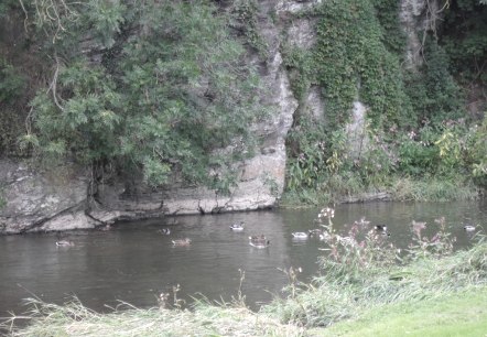 Ahrblick Schuld, © TI Hocheifel-Nürburgring, Gerd Spitzlay Ahrblick Schuld, © TI Hocheifel-Nürburgring, Gerd Spitzlay