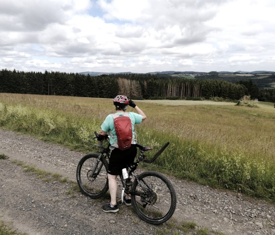 Fernsicht Winnerather Höhe3, © Tourist-Information Hocheifel-Nürburgring, DannySchmitz Fernsicht Winnerather Höhe3, © Tourist-Information Hocheifel-Nürburgring, DannySchmitz