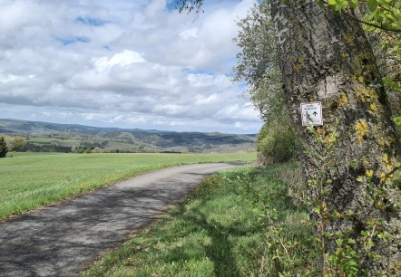 Kurze Touren durch die Eifel , © TI Hocheifel-Nürburgring Kurze Touren durch die Eifel , © TI Hocheifel-Nürburgring