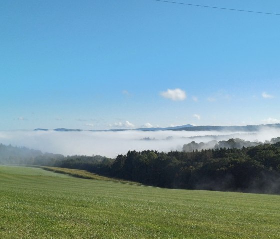 Weitblicke von Senscheid, © Martina Gebert Weitblicke von Senscheid, © Martina Gebert