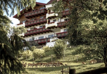 Hauptbild, © Natur- und Wohlfühlhotel Kastenholz Hauptbild, © Natur- und Wohlfühlhotel Kastenholz