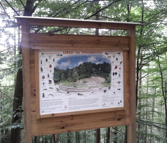 Infotafel Steinbruch©TI Adenau, © TI Hocheifel-Nürburgring Infotafel Steinbruch©TI Adenau, © TI Hocheifel-Nürburgring