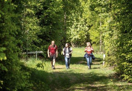 Wanderwege rund um den Nürbrurgring, © TI Hocheifel-Nürburgring, D. Ketz Wanderwege rund um den Nürbrurgring, © TI Hocheifel-Nürburgring, D. Ketz
