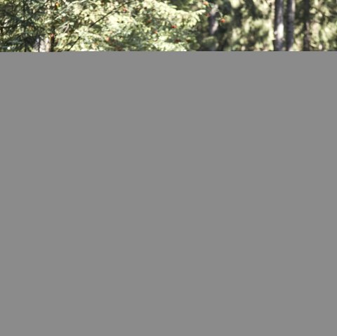 Hiking in the Hocheifel at the Nürburgring, © Tourist-Information Hocheifel-Nürburgring,Jonathan_Andrews Hiking in the Hocheifel at the Nürburgring, © Tourist-Information Hocheifel-Nürburgring,Jonathan_Andrews