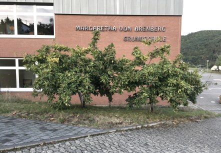 Margaretha von Arenberg Grundschule, © C. Schmitz Margaretha von Arenberg Grundschule, © C. Schmitz