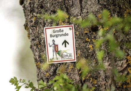 Schild 'Große Burgrunde' mit Ritter und Pfeil an Baumstamm, umgeben von Moos und Blättern., © TI Hocheifel-Nürburgring,D.Ketz Schild 'Große Burgrunde' mit Ritter und Pfeil an Baumstamm, umgeben von Moos und Blättern., © TI Hocheifel-Nürburgring,D.Ketz