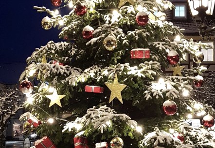 Weihnachtsbaum, © Daniela Scheffold Weihnachtsbaum, © Daniela Scheffold