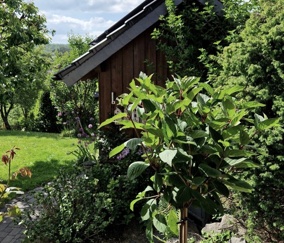 20250517_160902, © Schäfer|Ferienwohnung EIFELWILD|Adenau 20250517_160902, © Schäfer|Ferienwohnung EIFELWILD|Adenau