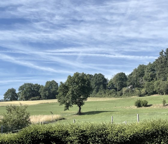 Aussicht vom Garten Aussicht vom Garten