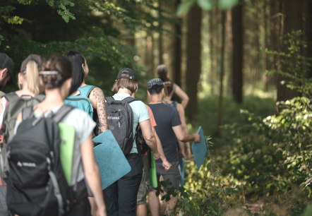 Wandergruppe durch die Waldakademie , © Wohllebens Waldakademie Auf Pfaden durch den Wald