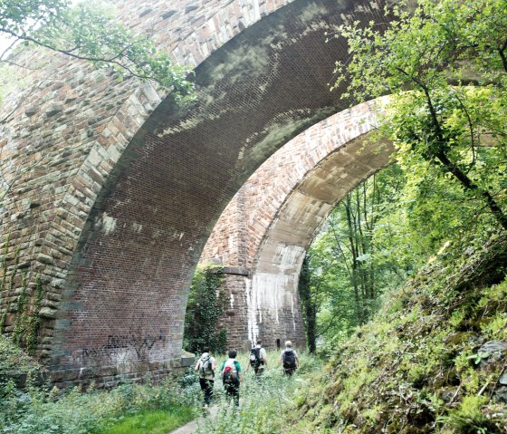 AhrSteig dans la vallée de Langfing, © Ahrtaltourismus e.V. AhrSteig dans la vallée de Langfing, © Ahrtaltourismus e.V.