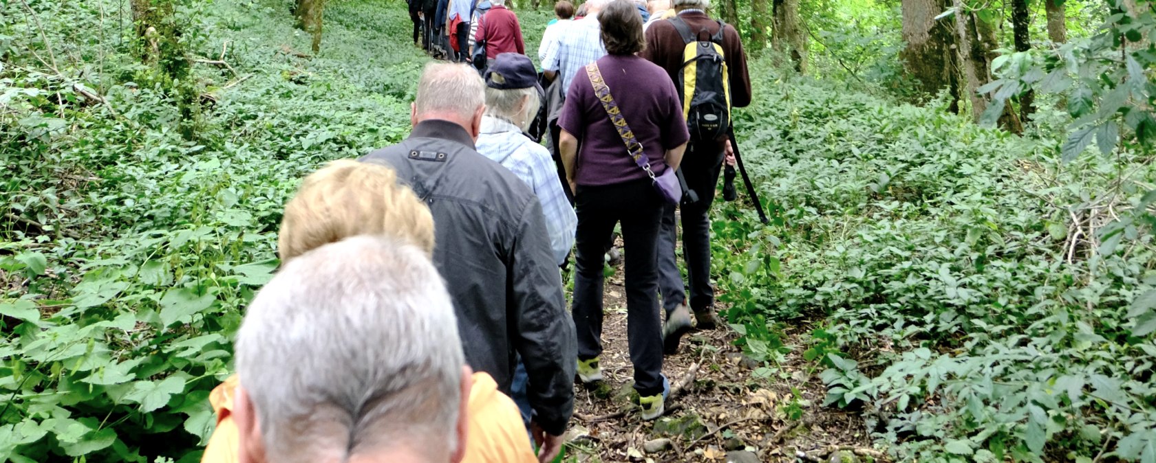 Wandergruppe rund um Aremberg, © AndreasPaul Wandergruppe rund um Aremberg, © AndreasPaul