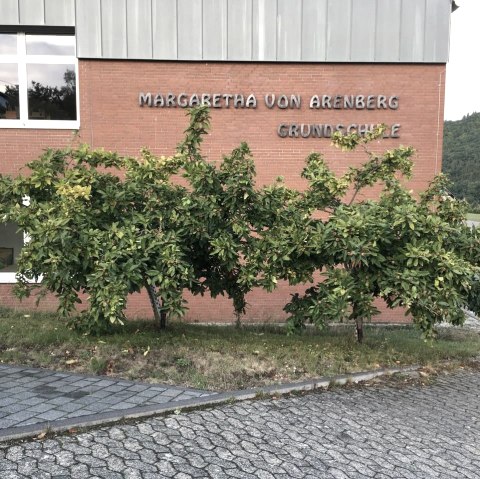 Margaretha von Arenberg Grundschule, © C. Schmitz Margaretha von Arenberg Grundschule, © C. Schmitz