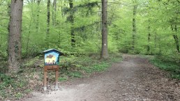 Weg, © Schote/Vulkanregion Laacher See Weg, © Schote/Vulkanregion Laacher See