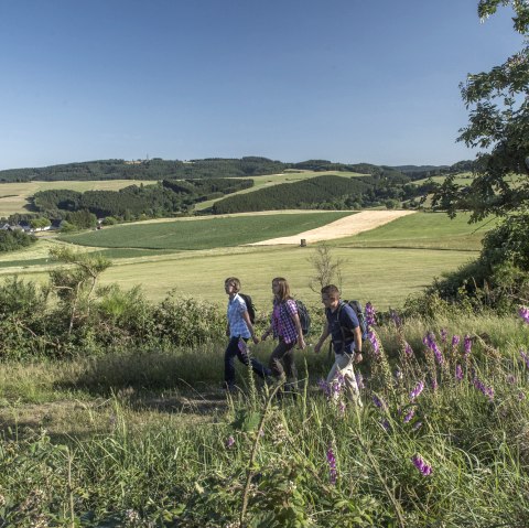 Eifel ladder Hohenleimbach, © Kappest Eifel ladder Hohenleimbach, © Kappest