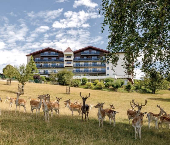 _KI_7315-HDR _KI_7315-HDR