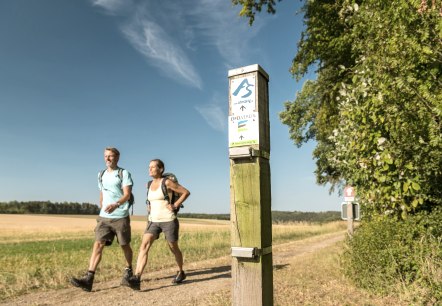 Wandern auf dem AhrSteig am Borsberg / Freilingen, © TI Hocheifel-Nürburgirng,Dominik Ketz Wandern auf dem AhrSteig am Borsberg / Freilingen, © TI Hocheifel-Nürburgirng,Dominik Ketz