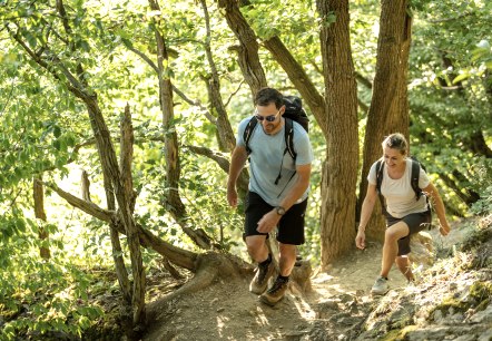 Forest trail stage 5 AhrSteig, © Ahrtaltourismus, Dominik Ketz Forest trail stage 5 AhrSteig, © Ahrtaltourismus, Dominik Ketz