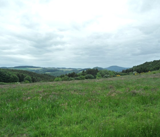 blick_auf_aremberg, © Gerd Spitzlay blick_auf_aremberg, © Gerd Spitzlay