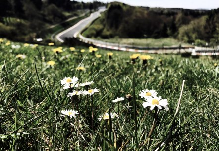Nordschleife Frühling, © TI Hocheifel-Nürburgring,S:Schulte Nordschleife Frühling, © TI Hocheifel-Nürburgring,S:Schulte