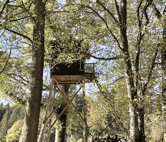 Waldweg Antweiler Waldweg Antweiler