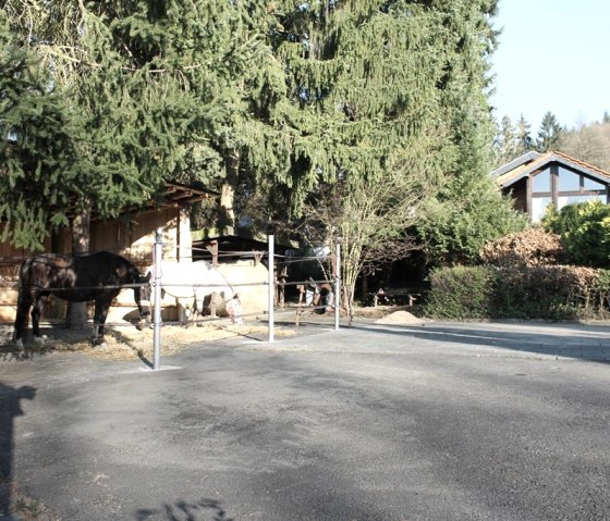 Offenstallboxen, © A.Zimmermann Offenstallboxen, © A.Zimmermann