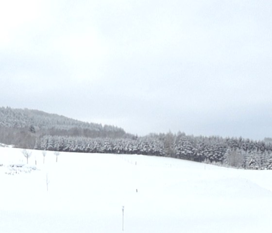 Winter, © FeWo Ruland Winter, © FeWo Ruland