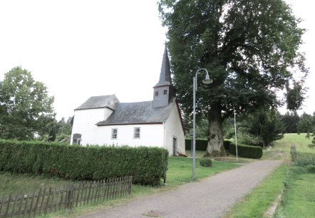 Filialkirche St. Antonius mit Ulme, © Tourist-Information Hocheifel-Nürburgring, VG Adenau Filialkirche St. Antonius mit Ulme, © Tourist-Information Hocheifel-Nürburgring, VG Adenau