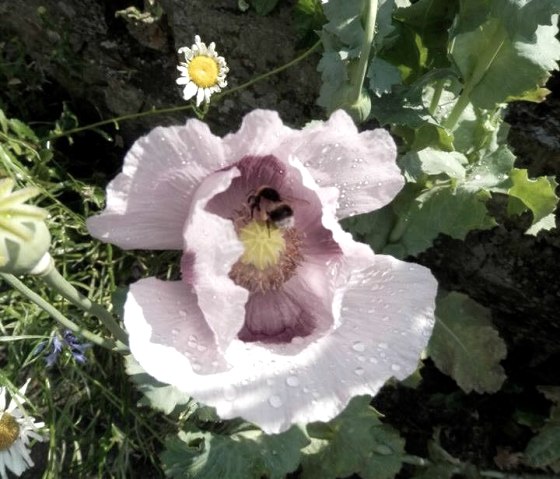 Schöne Behausung, © Klotz Schöne Behausung, © Klotz