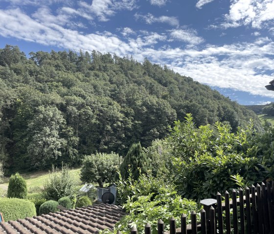 Ausblick ins Grüne Ausblick ins Grüne