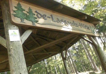 Holzhütte im Wald mit einem Schild 'de-Lassaulx-Hütte' und einem Eifelleiter-Logo. Umgeben von Bäumen., © VG Adenau,Rita Kaiser Holzhütte im Wald mit einem Schild 'de-Lassaulx-Hütte' und einem Eifelleiter-Logo. Umgeben von Bäumen., © VG Adenau,Rita Kaiser